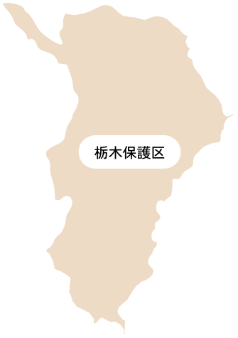 栃木保護区