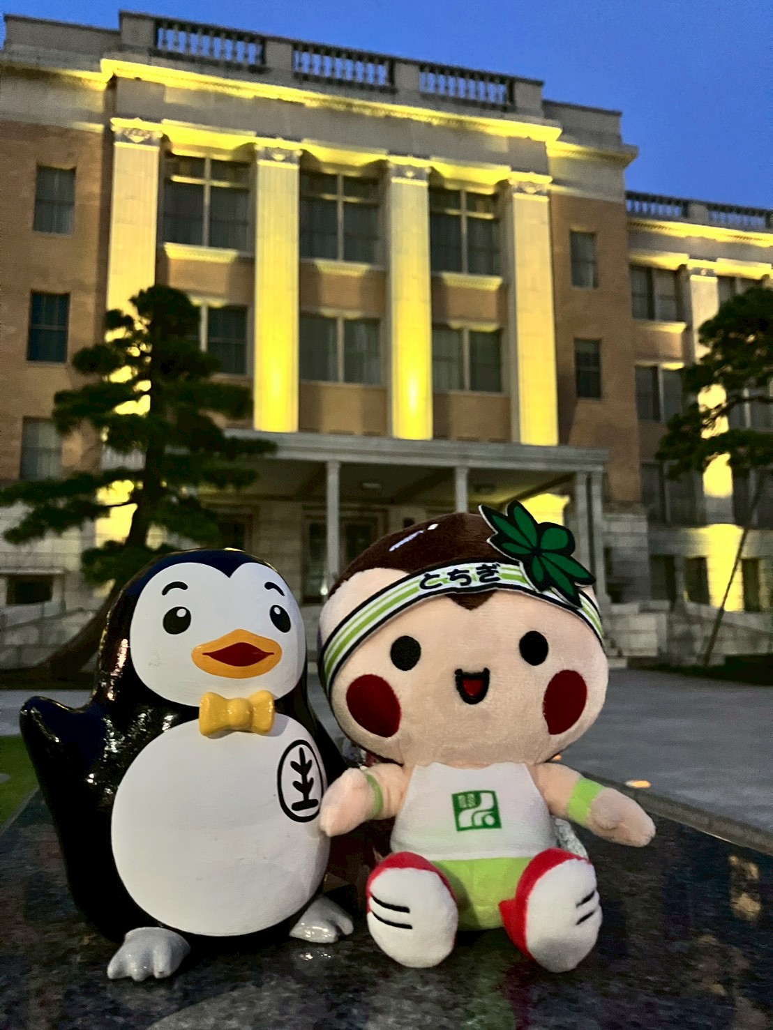 イエローライトアップ　宇都宮　